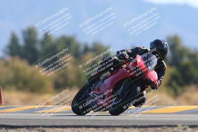 media/Feb-05-2023-SoCal Trackdays (Sun) [[b2340e6653]]/Turn 7 (940am)/